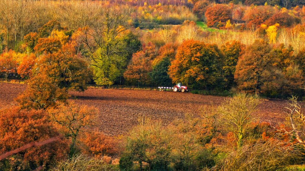 autumn in Oxfordshire
